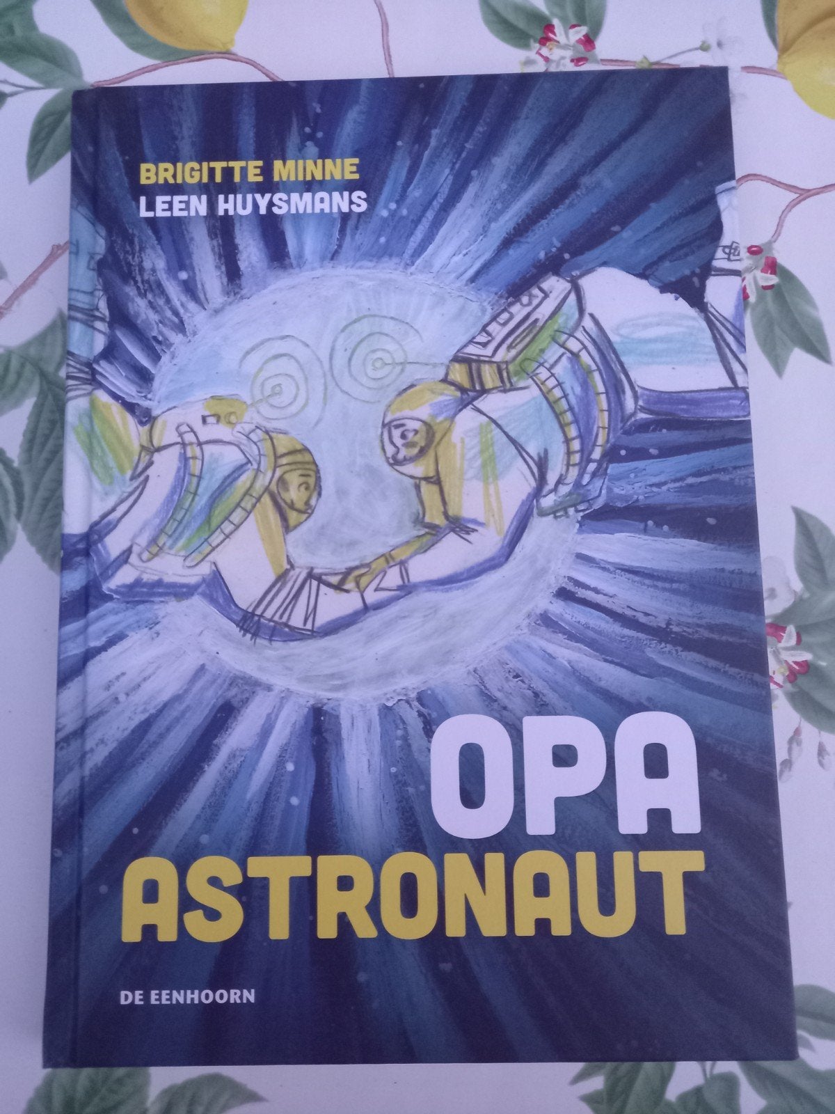 M8 Brigitte Minne - Opa astronaut, Boeken, Brigitte Minne, Fictie algemeen, Ophalen of Verzenden, Zo goed als nieuw