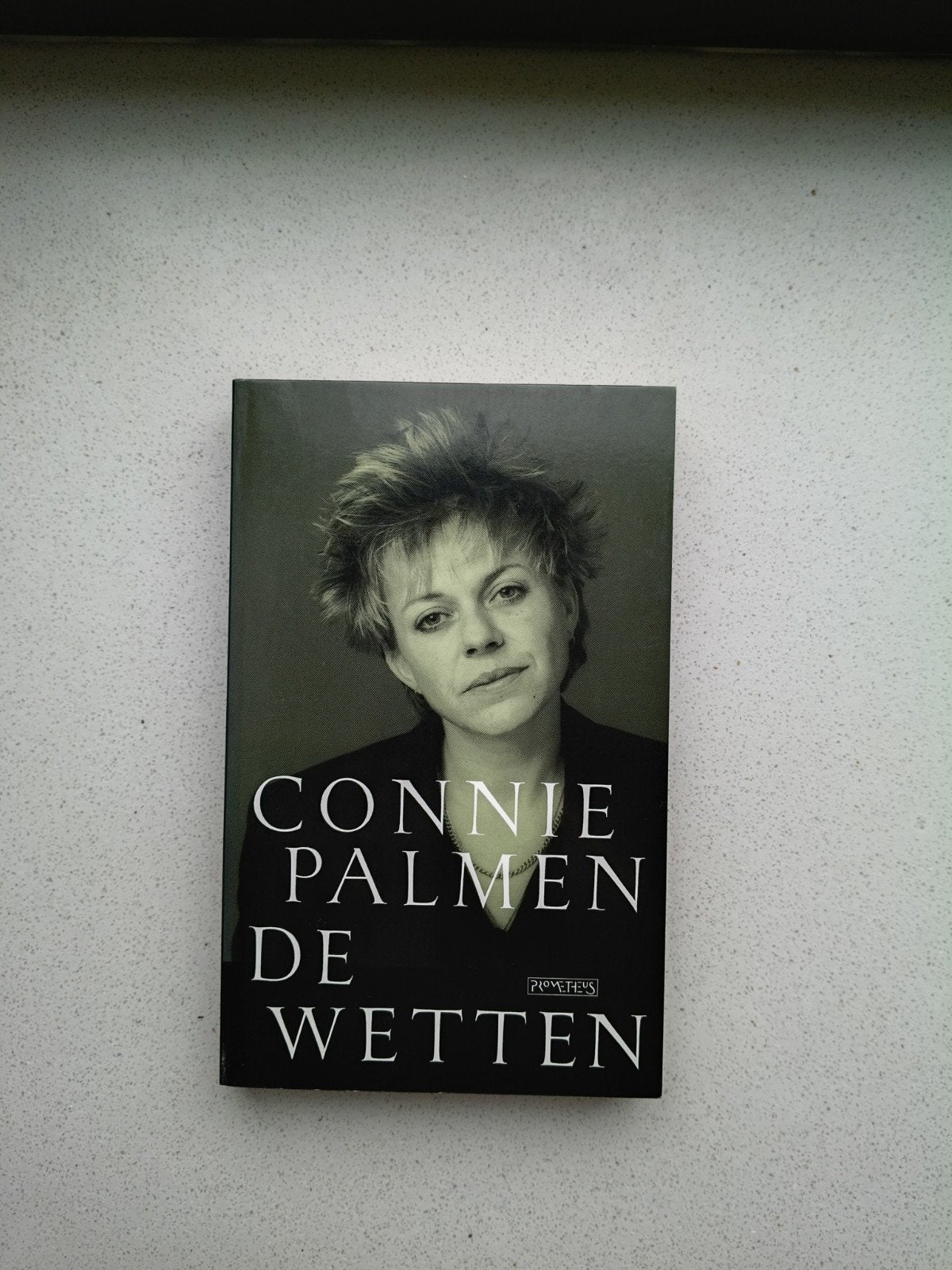 De Wetten - Connie Palmen, Ophalen of Verzenden, Gelezen