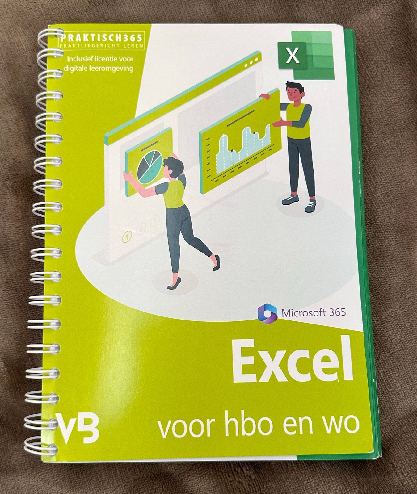 Praktisch Excel voor HBO en WO - Microsoft 365, Ophalen of Verzenden, Beta, Zo goed als nieuw, HBO