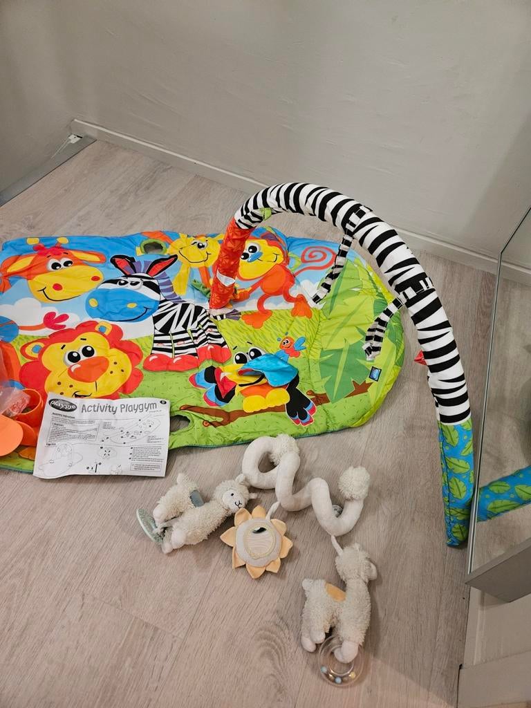 Playgro Activiteiten Playgym met speelkleed en speeltjes, Ophalen, Gebruikt, Babygym