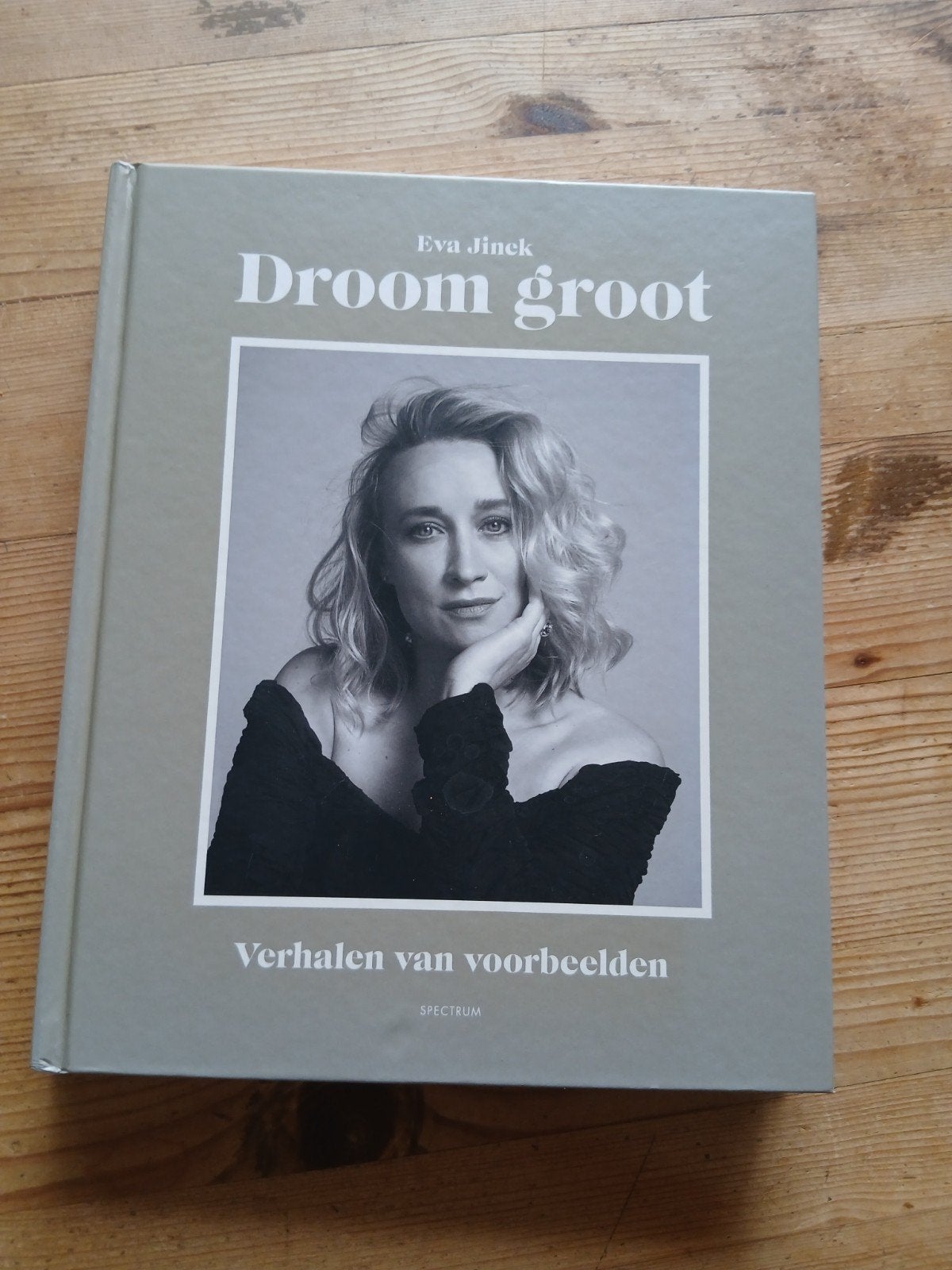 Droom Groot - Verhalen van voorbeelden door Eva Jinek, Ophalen of Verzenden, Zo goed als nieuw, Eva Jinek, Overige