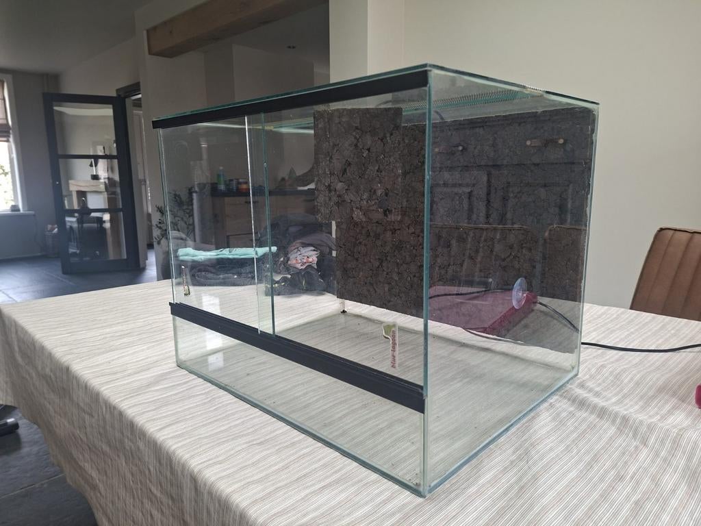 Terrarium met kurk, Overige typen, Zo goed als nieuw, 75 tot 110 cm, Ophalen