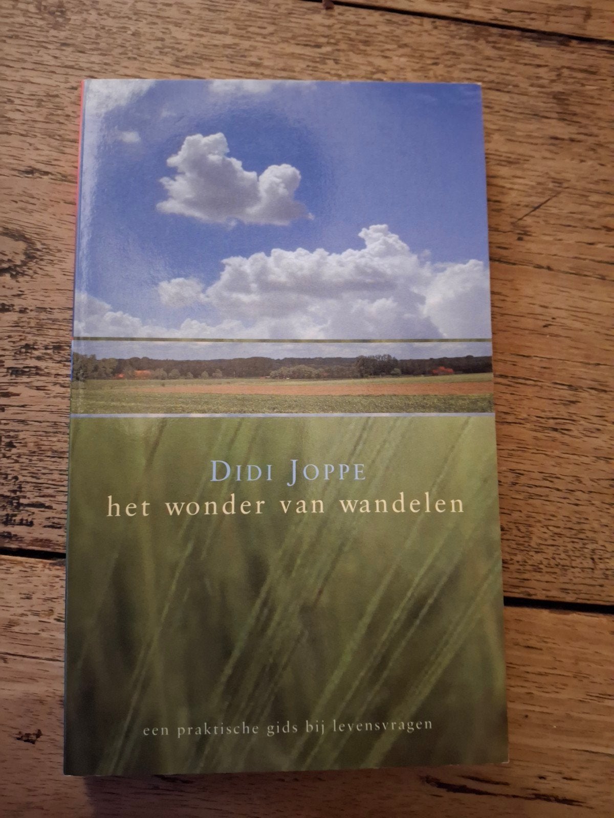 D. Joppe - Wonder van wandelen, Achtergrond en Informatie, Ophalen of Verzenden, Zo goed als nieuw, D. Joppe