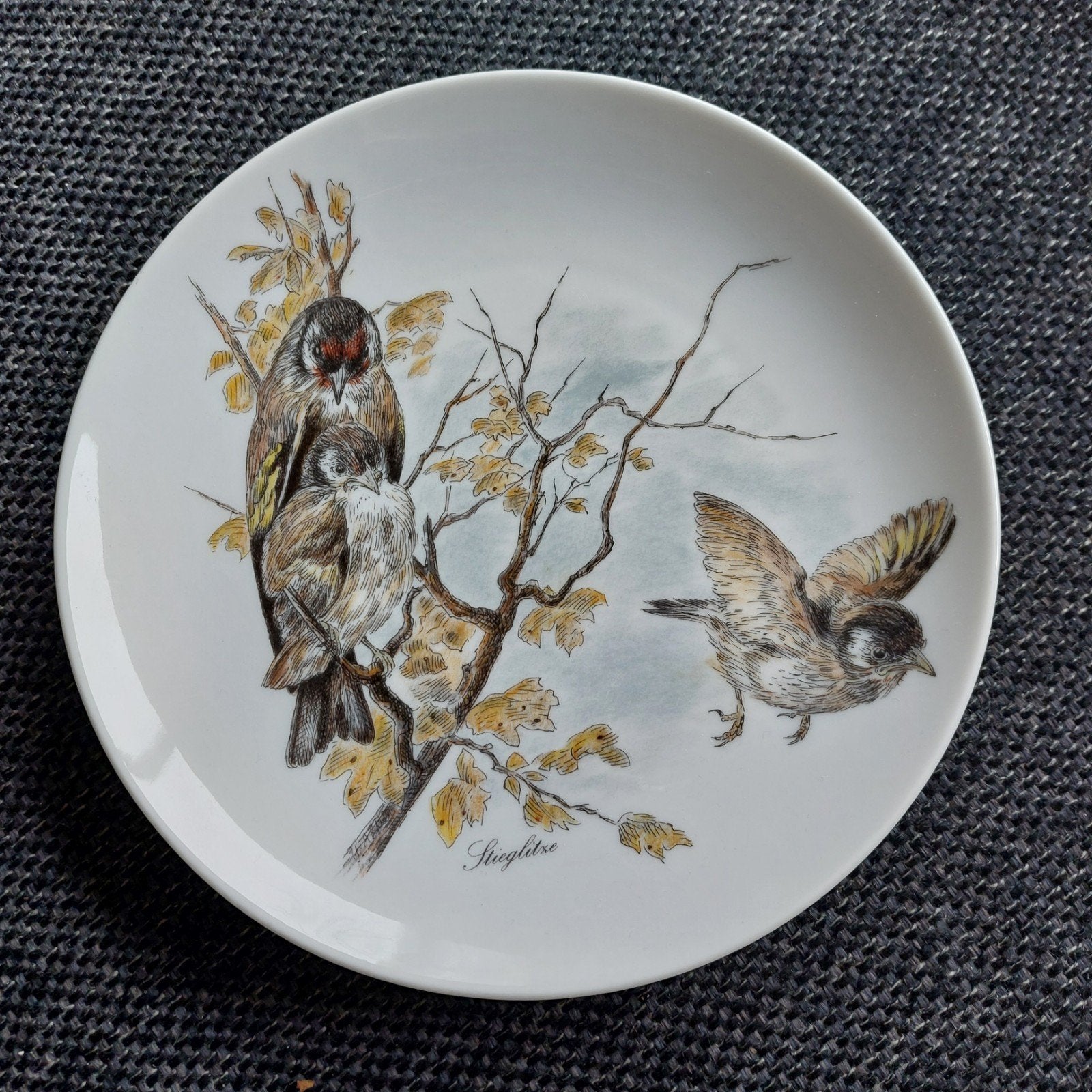 Wandbord met putter / distelvink, Ophalen of Verzenden
