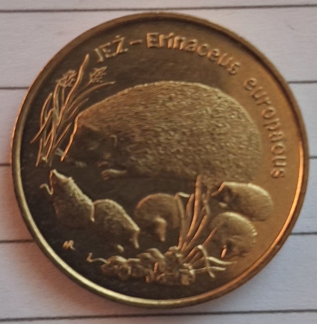 2 zloty munt, Ophalen of Verzenden, Buitenland, Bankbiljetten