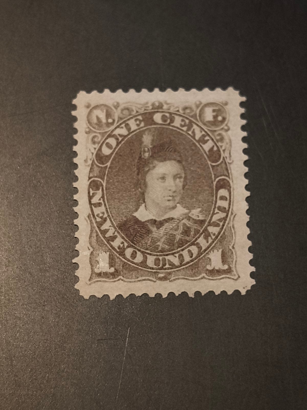 Newfoundland 1 cent 1880-82, Sg 44, Ophalen of Verzenden, Noord-Amerika