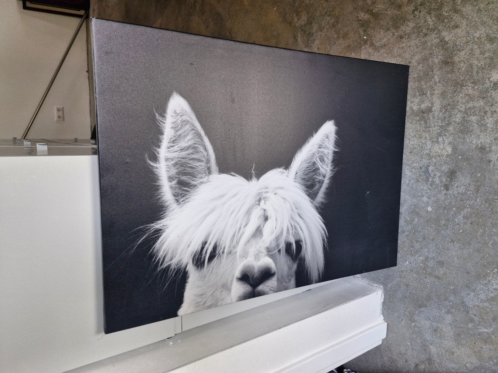 Ikea schilderij / afbeelding zonder lijst, Huis en Inrichting, Woonaccessoires | Schilderijen, Tekeningen en Foto's, Ophalen, Zo goed als nieuw