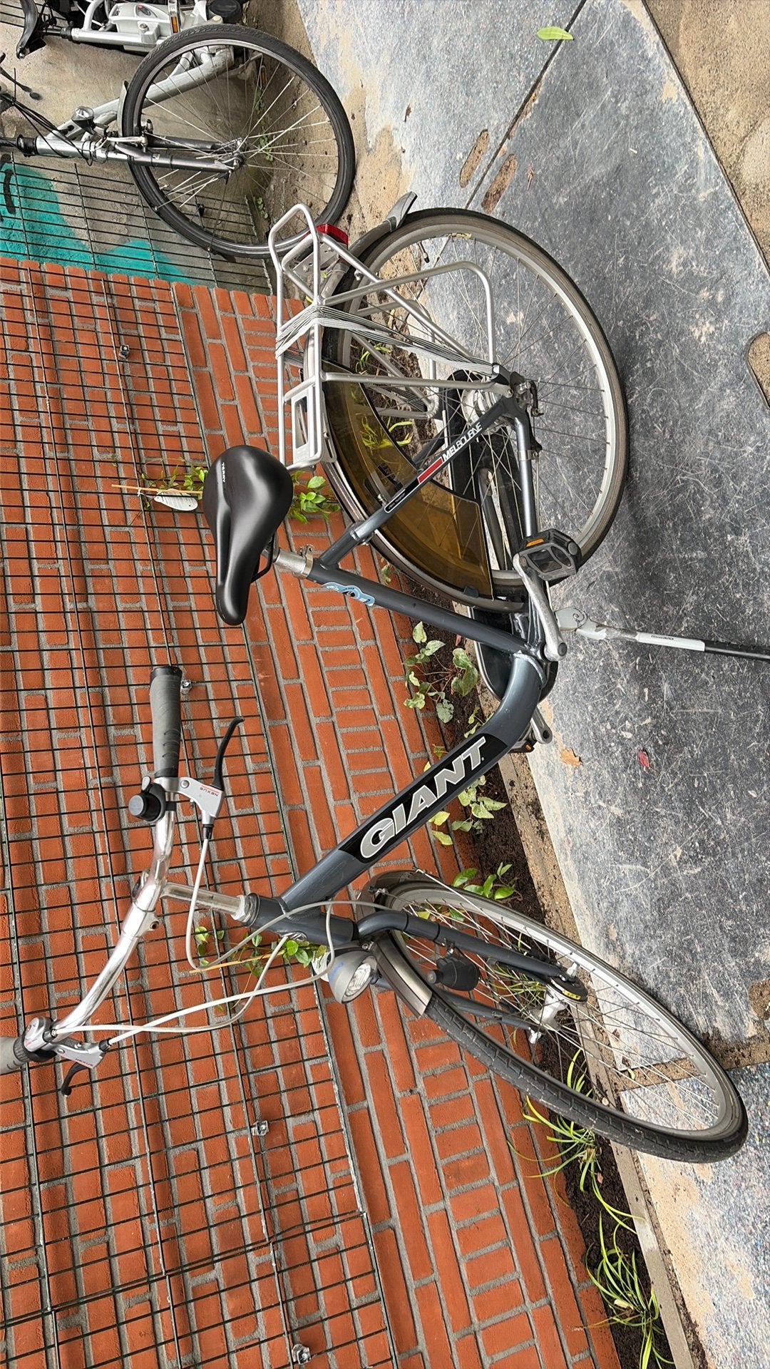 Te koop damesfiets tour 7 versnelling, Ophalen