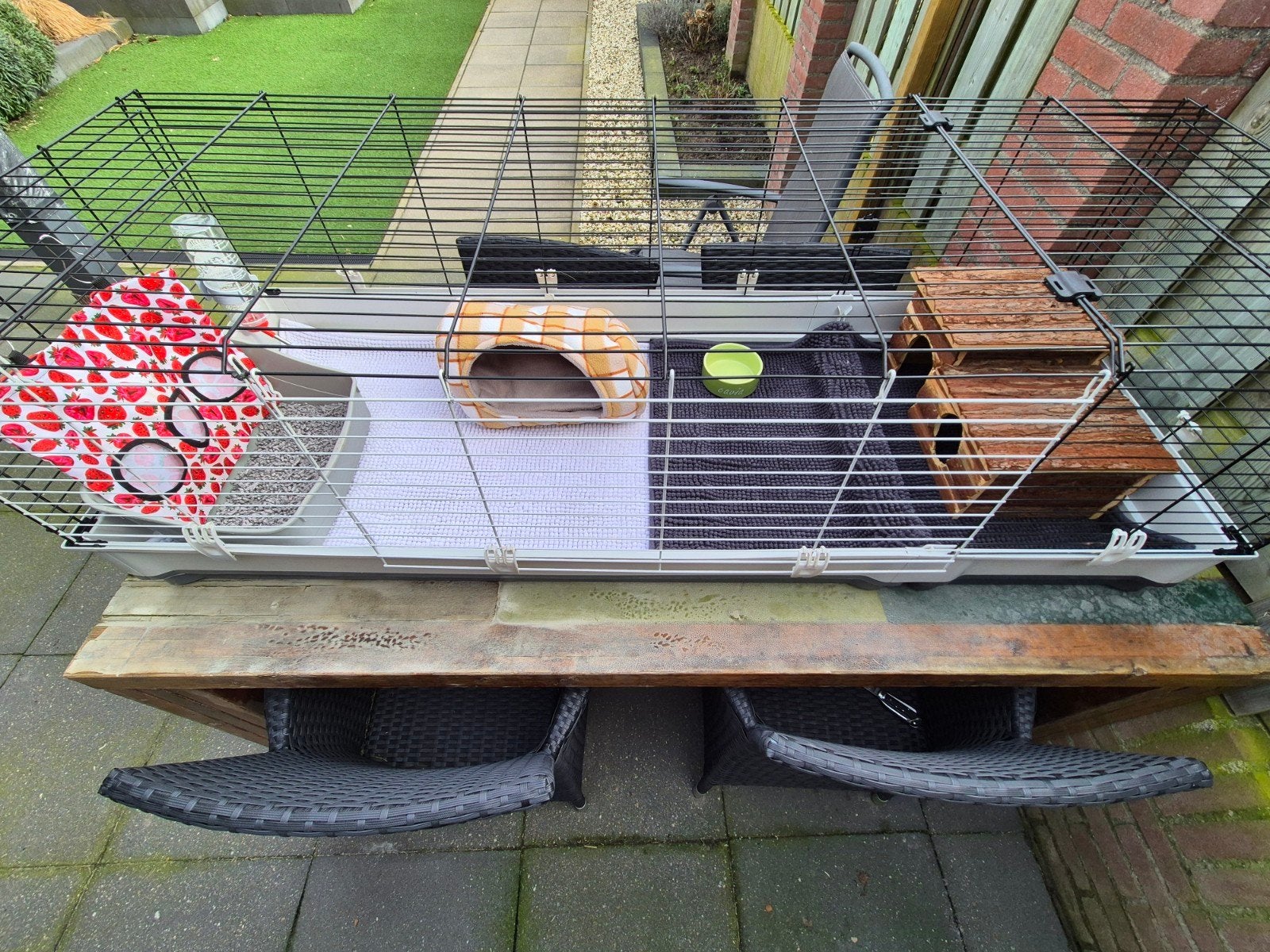 Foto 7 van kleinschalige cavia vakantie opvang