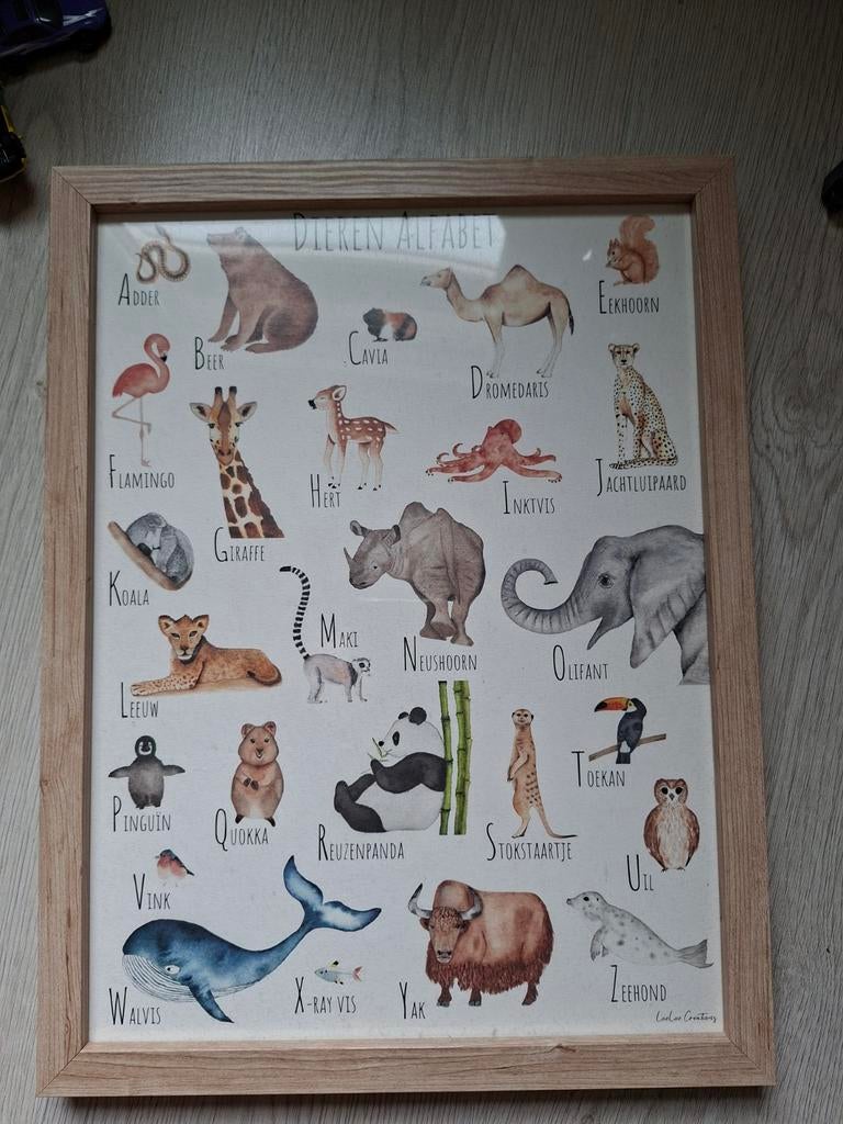 Dieren alfabet in lijst, Ophalen, Wanddecoratie