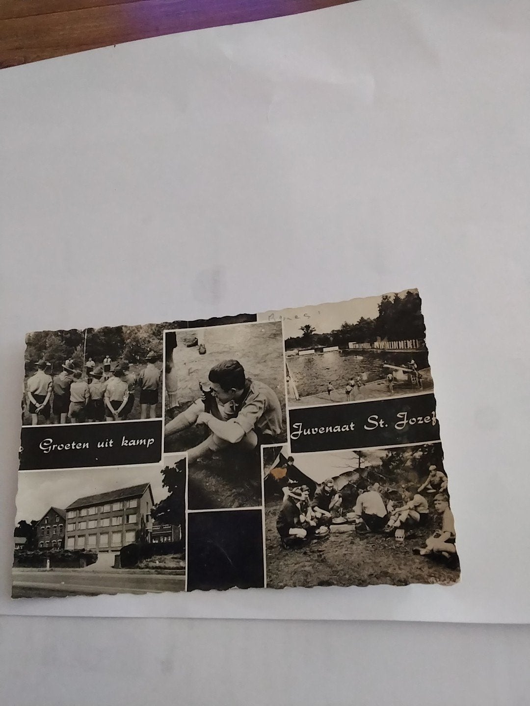 Oude ansichtkaart Kamp Juvenaat St. Jozef Wellerlooi, Ophalen of Verzenden, 1940 tot 1960, Ongelopen, Limburg