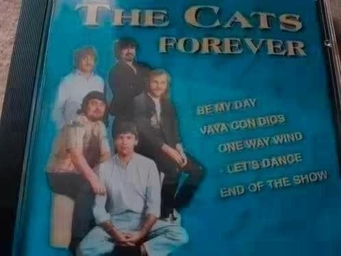The Cats Forever CD - Popmuziek Klassiekers, Ophalen of Verzenden, Gebruikt, Pop, Verzamelalbum