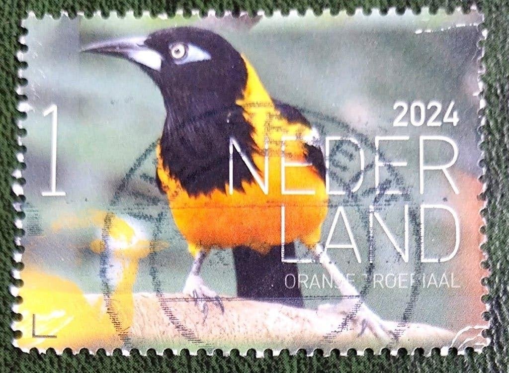 Beleef de natuur 2024, Verzenden, Na 1940, Gestempeld