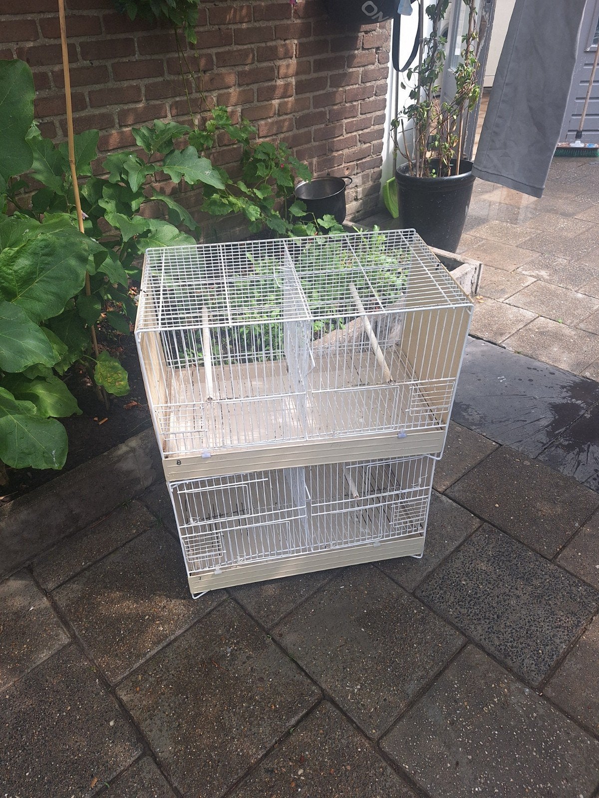 Vogelkooi., Dieren en Toebehoren, Ophalen of Verzenden, Zo goed als nieuw, Metaal, Vogelkooi