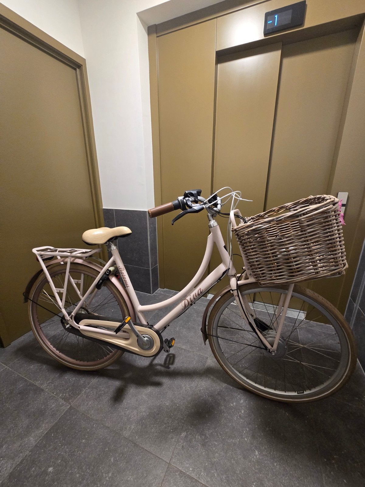 Elektrische Fiets – Rijd ook zonder trappen, Ophalen of Verzenden