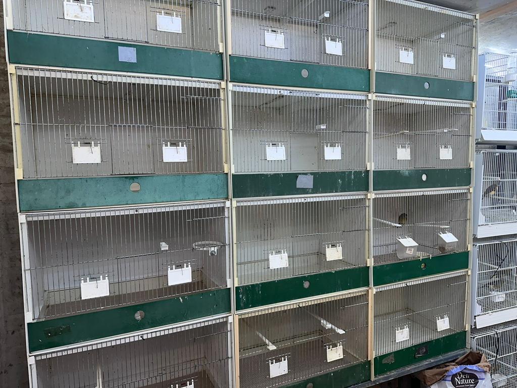 Heesakkers kunstof kooi, Dieren en Toebehoren, Vogels | Hokken en Kooien, Ophalen, Zo goed als nieuw, Kunststof, Broedkooi of Kweekkooi