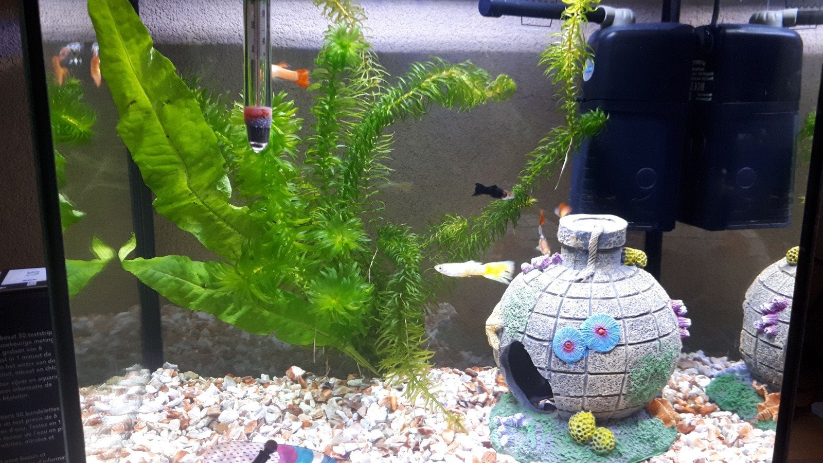 Aquarium startset 30liter, Ophalen of Verzenden, Zo goed als nieuw, Leeg aquarium, Superfish