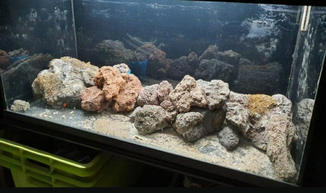 Mooie Lavastenen voor aquarium of terrarium + 6 ltr klein., Ophalen, Plant(en), Steen of Hout