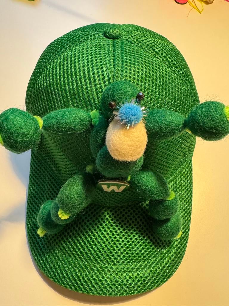 W-ooly men cap -frontal green., Ophalen of Verzenden, Nieuw, One size fits all, Pet