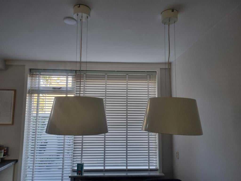Hanglampen, Huis en Inrichting, Ophalen, Zo goed als nieuw, Minder dan 50 cm