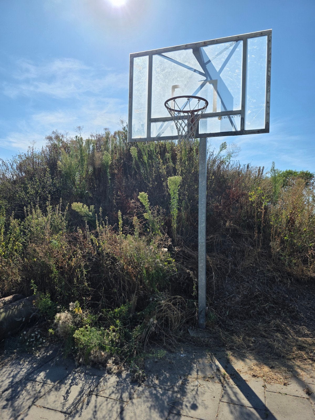 Basketbal bord met ring en paal, Sport en Fitness, Ophalen, Gebruikt, Ring, Bord of Paal