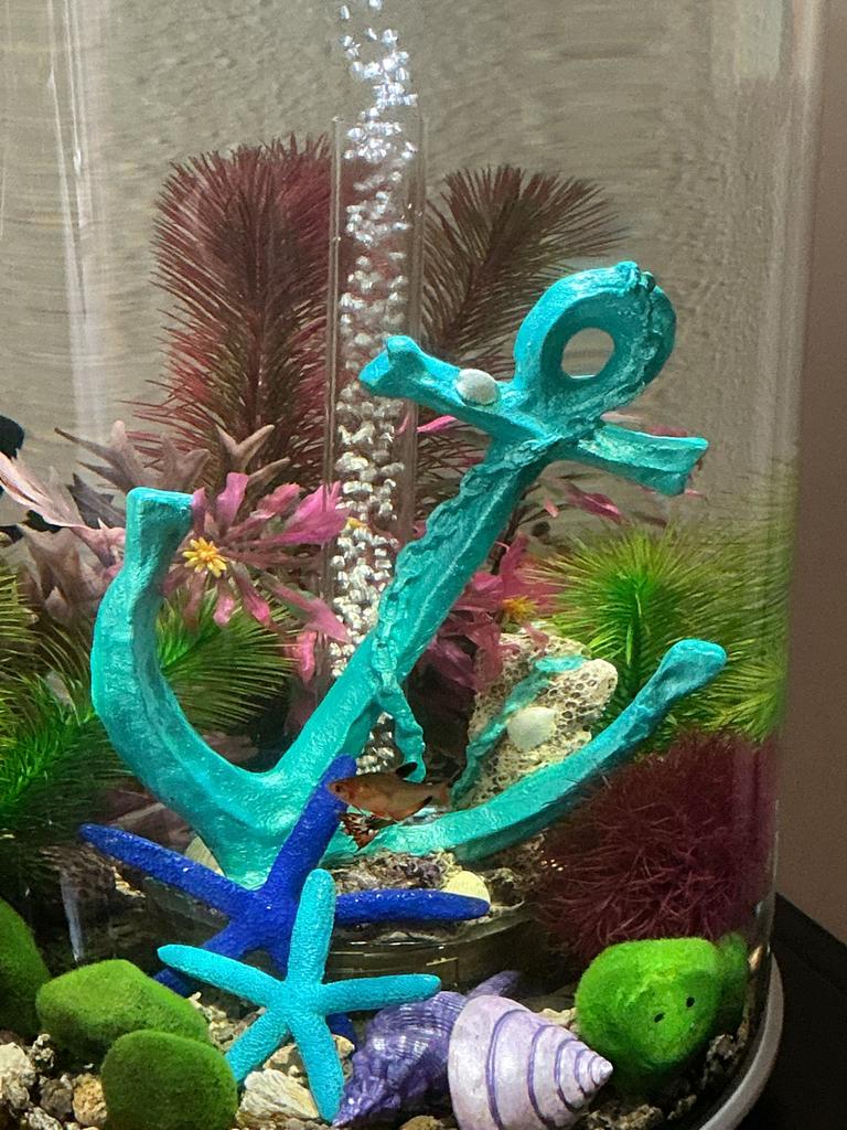 Biorb anker ornament, Dieren en Toebehoren, Vissen | Aquaria en Toebehoren, Ophalen of Verzenden, Zo goed als nieuw, Aquariummeubel