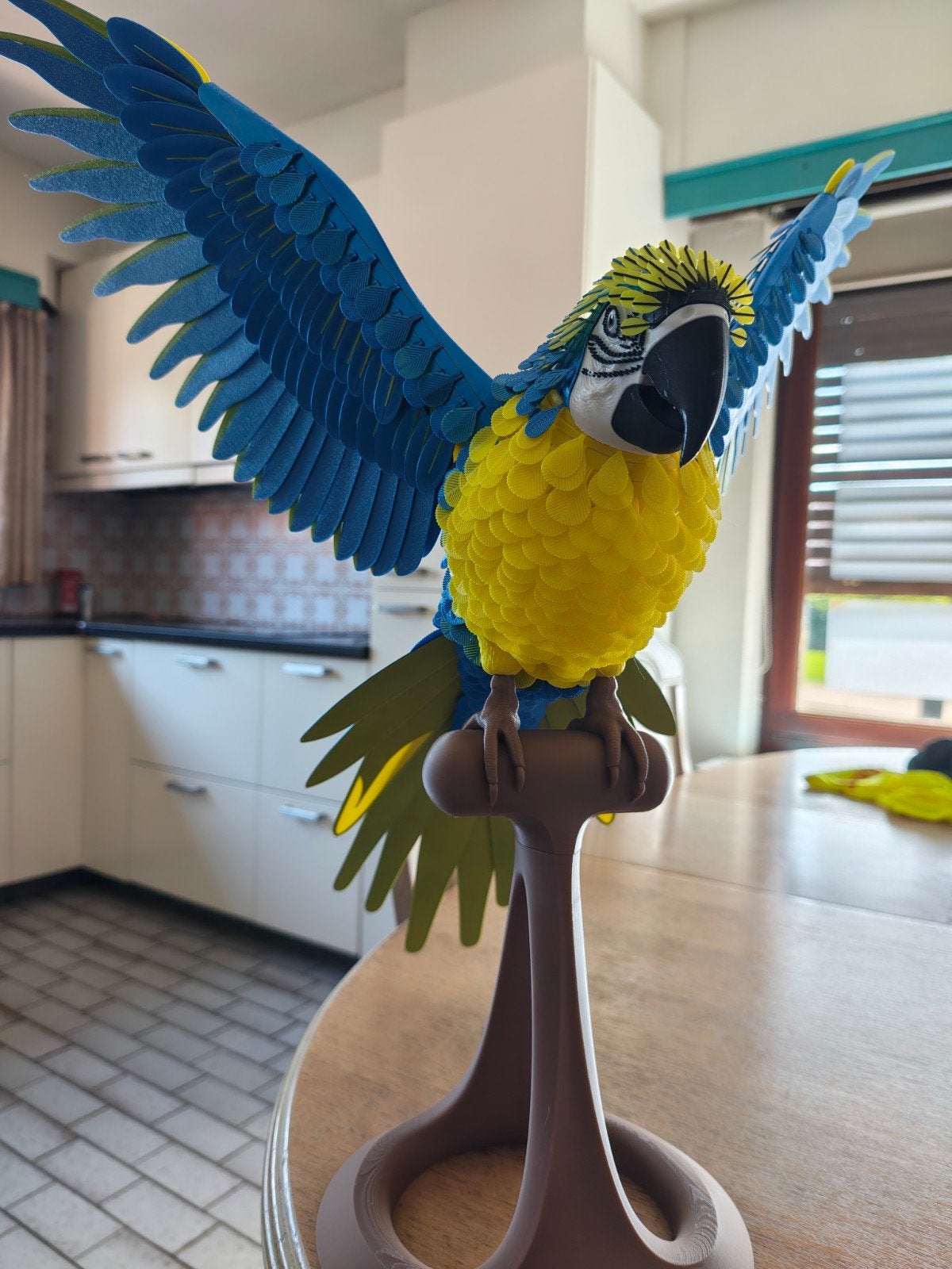 levensgrote papegaai, Dieren en Toebehoren, Geslacht onbekend, Papegaai