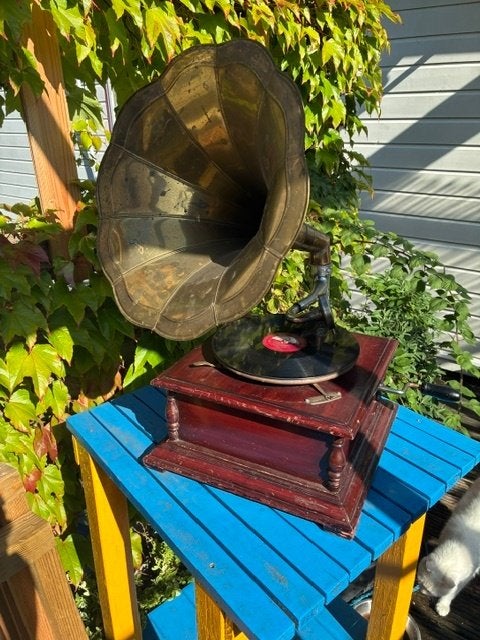 Vintage slingergrammofoon, Gebruikt, Pitch-regelaar, Platenspeler, Ophalen