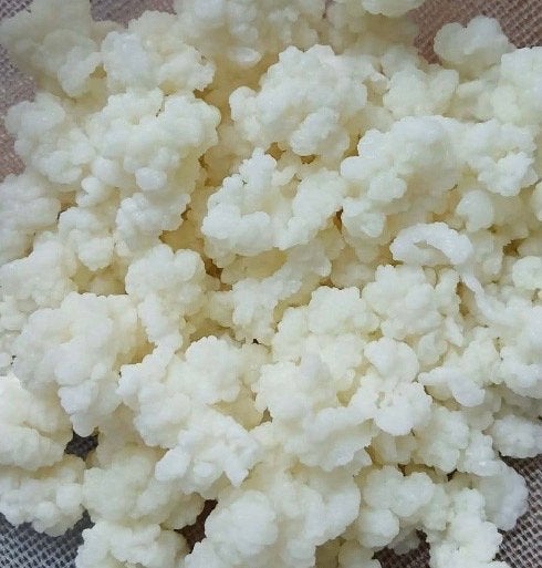 Verse Kefir, Diversen, Ophalen