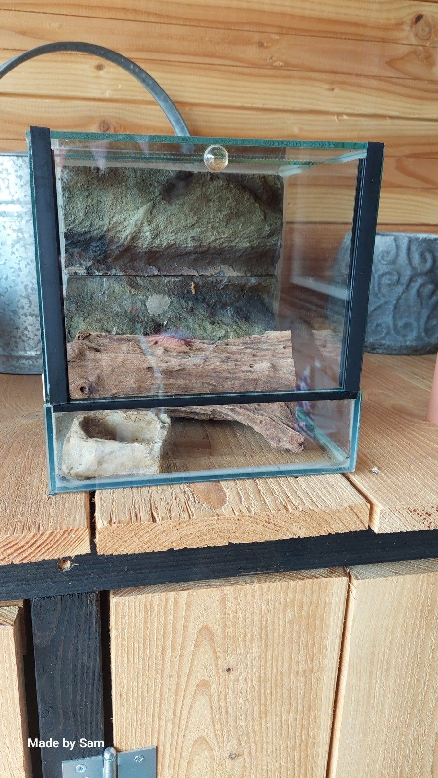 terrarium, Dieren en Toebehoren, Ophalen, Zo goed als nieuw, Terrarium of Paludarium