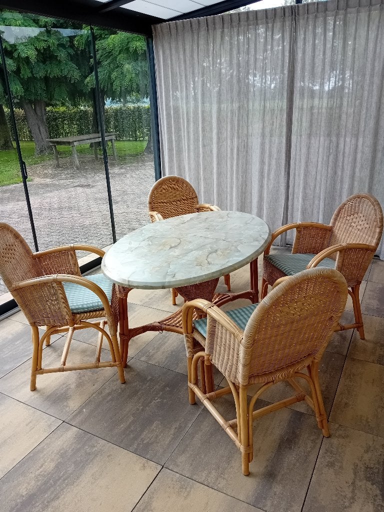 Eettafel met 4 stoelen, Ophalen, Riet, Gebruikt, 100 tot 150 cm