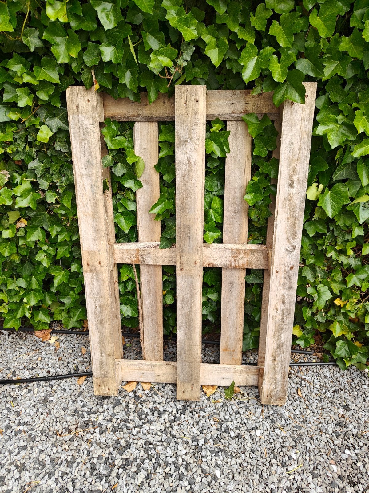 Pallet met europallet afmetingen, Doe-het-zelf en Verbouw, Hout en Planken, Ophalen, Overige houtsoorten, Minder dan 200 cm, Pallet
