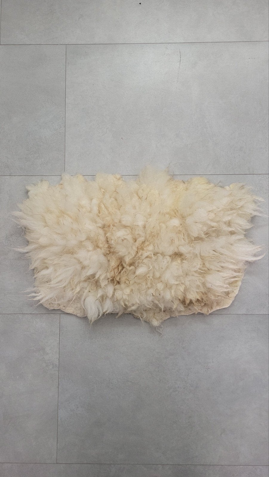 Schapenvachtje voor hondje of kat, Ophalen of Verzenden, Nieuw
