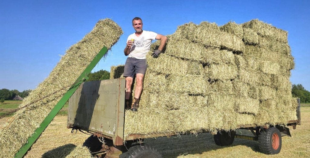 PAVO HOOI – MOOIE EERSTE SNEDE VAN DIT JAAR, Ophalen, Vee