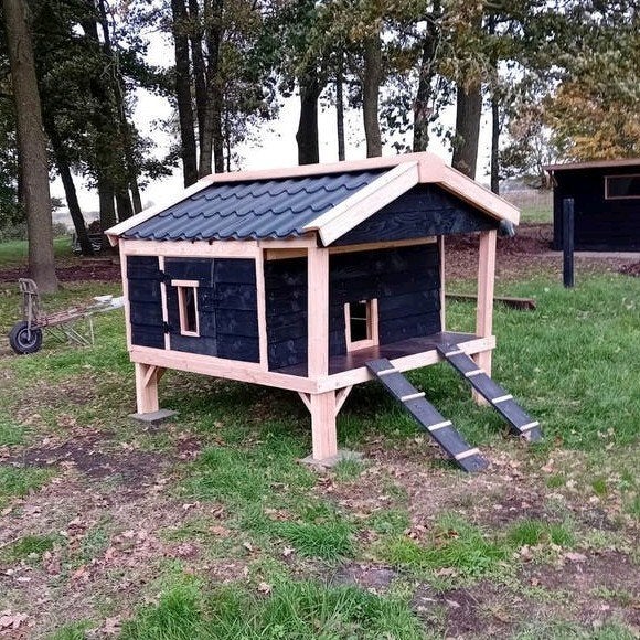 Kippenhok Douglas, Veranda villa. Op maat gemaakt, Dieren en Toebehoren, Ophalen of Verzenden, Nieuw, Kippenhok of Kippenren
