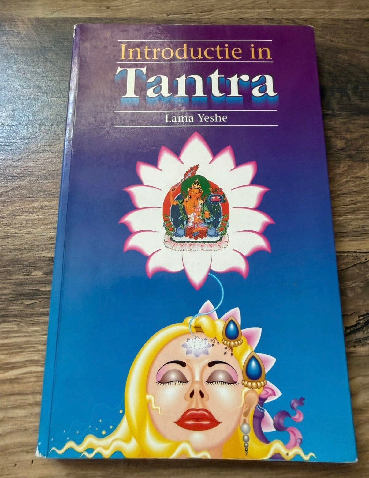 Introductie in Tantra, Ophalen of Verzenden, Zo goed als nieuw, Spiritualiteit algemeen, Achtergrond en Informatie