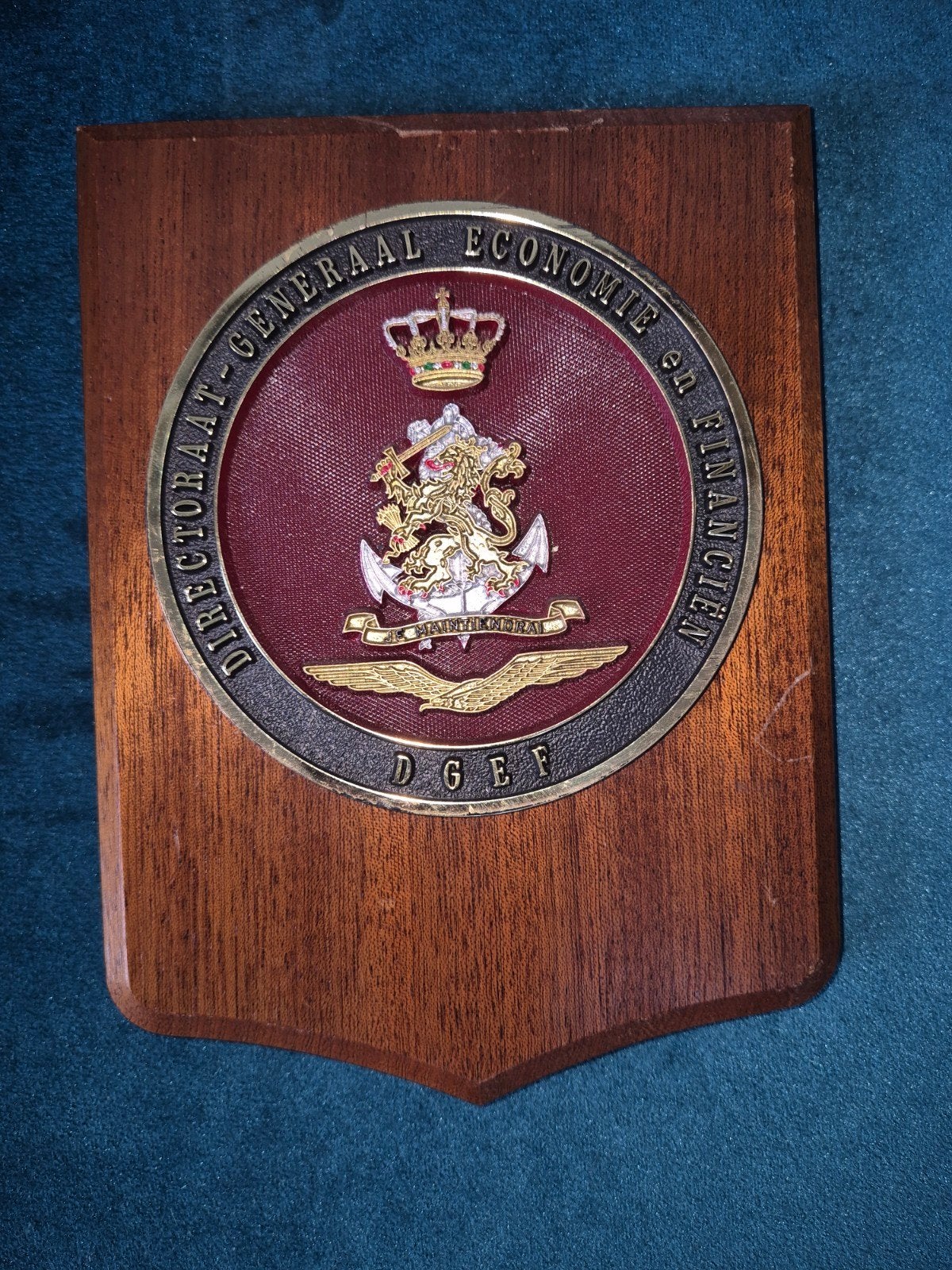 Wapenschild Directoraat Generaal Economie en Financien DGEF, Verzamelen, Militaria | Algemeen, Verzenden, Landmacht, Nederland