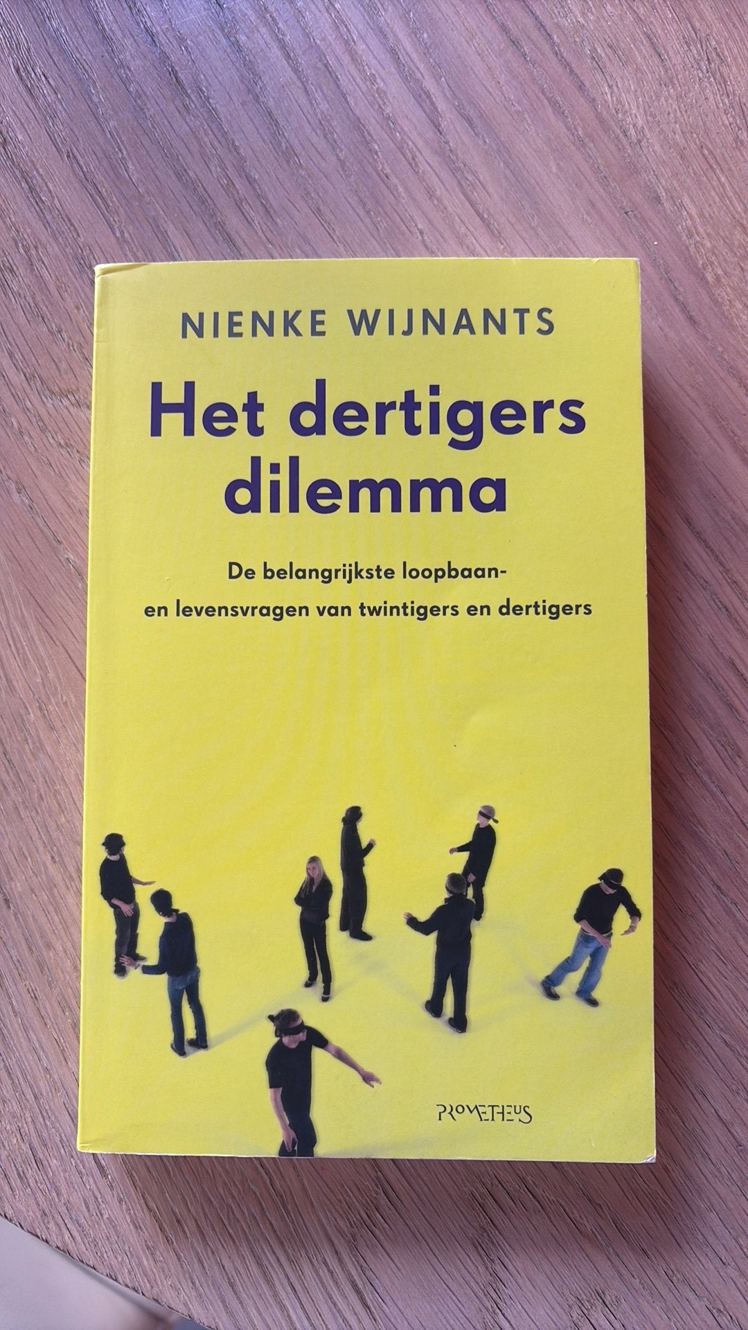 Boek: Het dertigers dilemma, Ophalen of Verzenden, Zo goed als nieuw