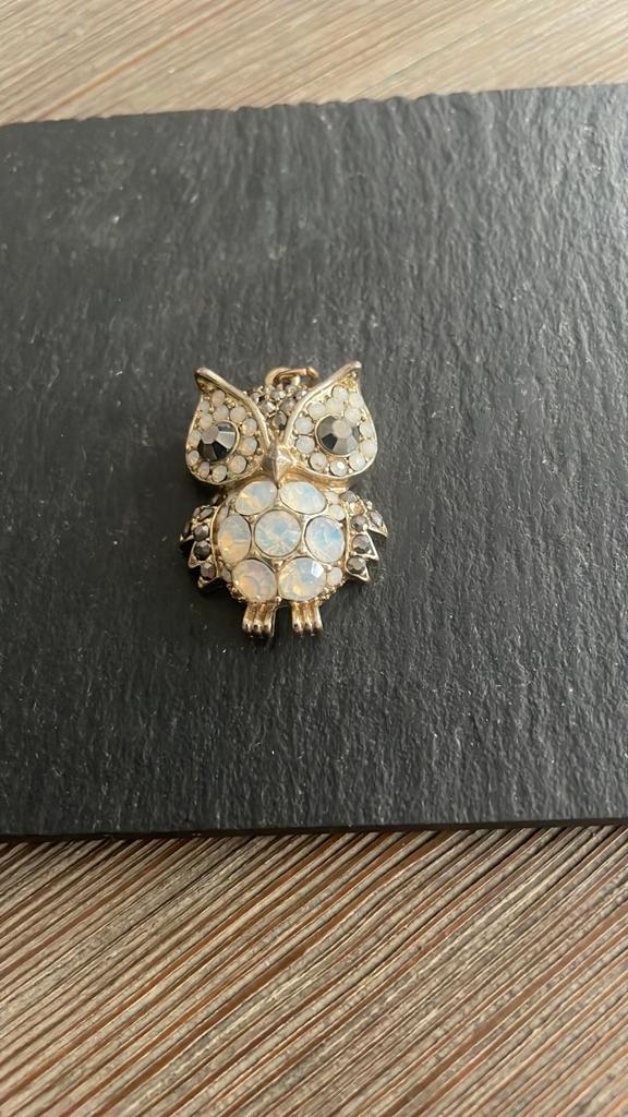 Kettinghanger Uil, Ophalen of Verzenden, Zo goed als nieuw, Zilver, Overige materialen