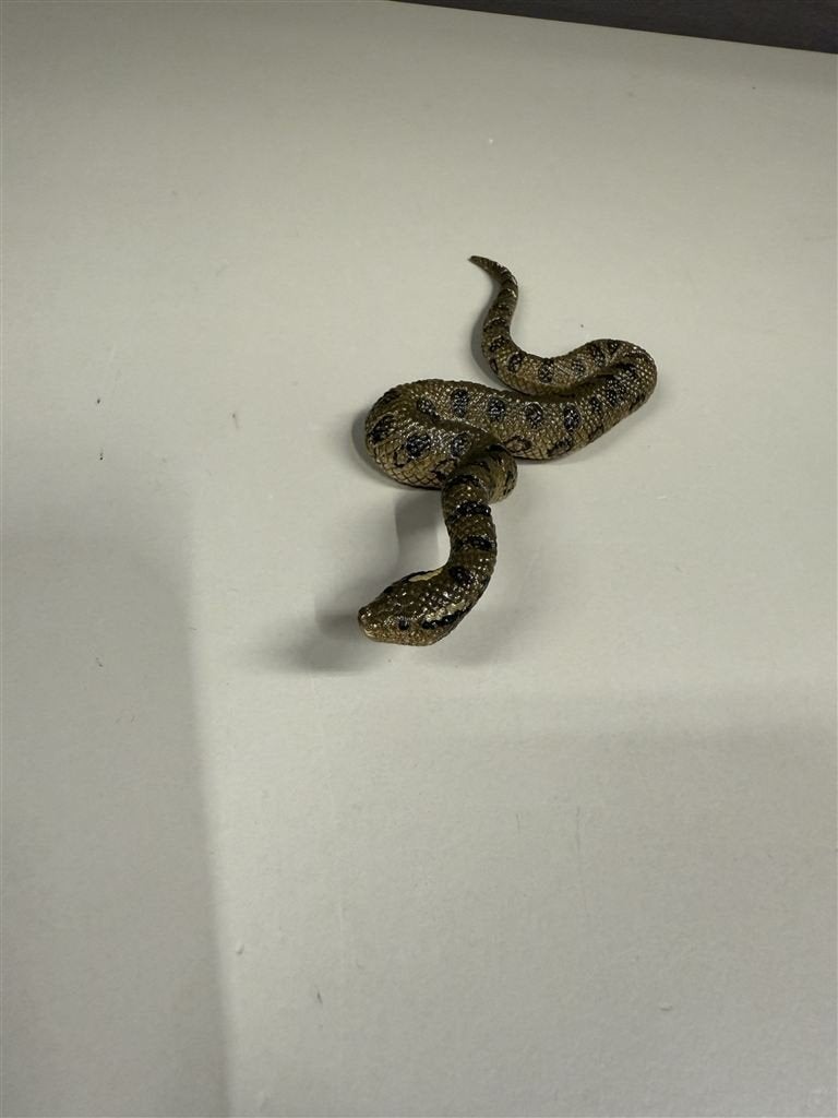 Schleich slang figuur - Wildlife 2016 D-73527, Verzamelen, Ophalen of Verzenden, Zo goed als nieuw