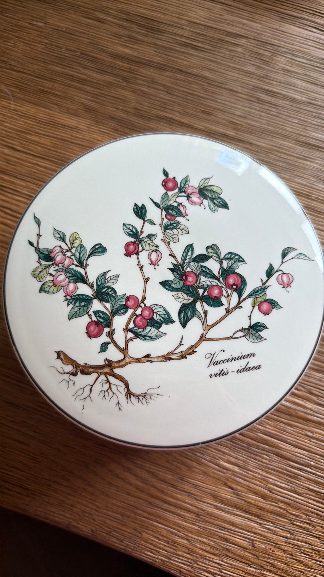 Villeroy& Boch Botanica serie. Grote versie., Ophalen of Verzenden