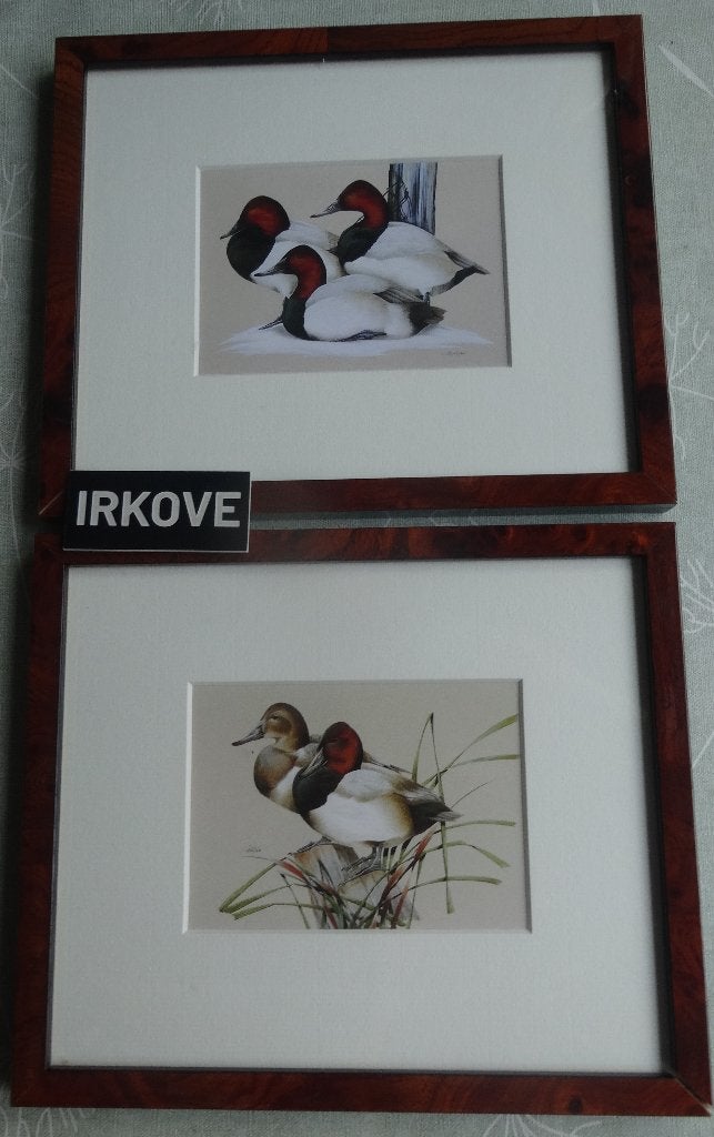 FRAAIE EENDJES IN LIJST * 2 Stuks *, Minder dan 50 cm, Verzenden, Nieuw, Print