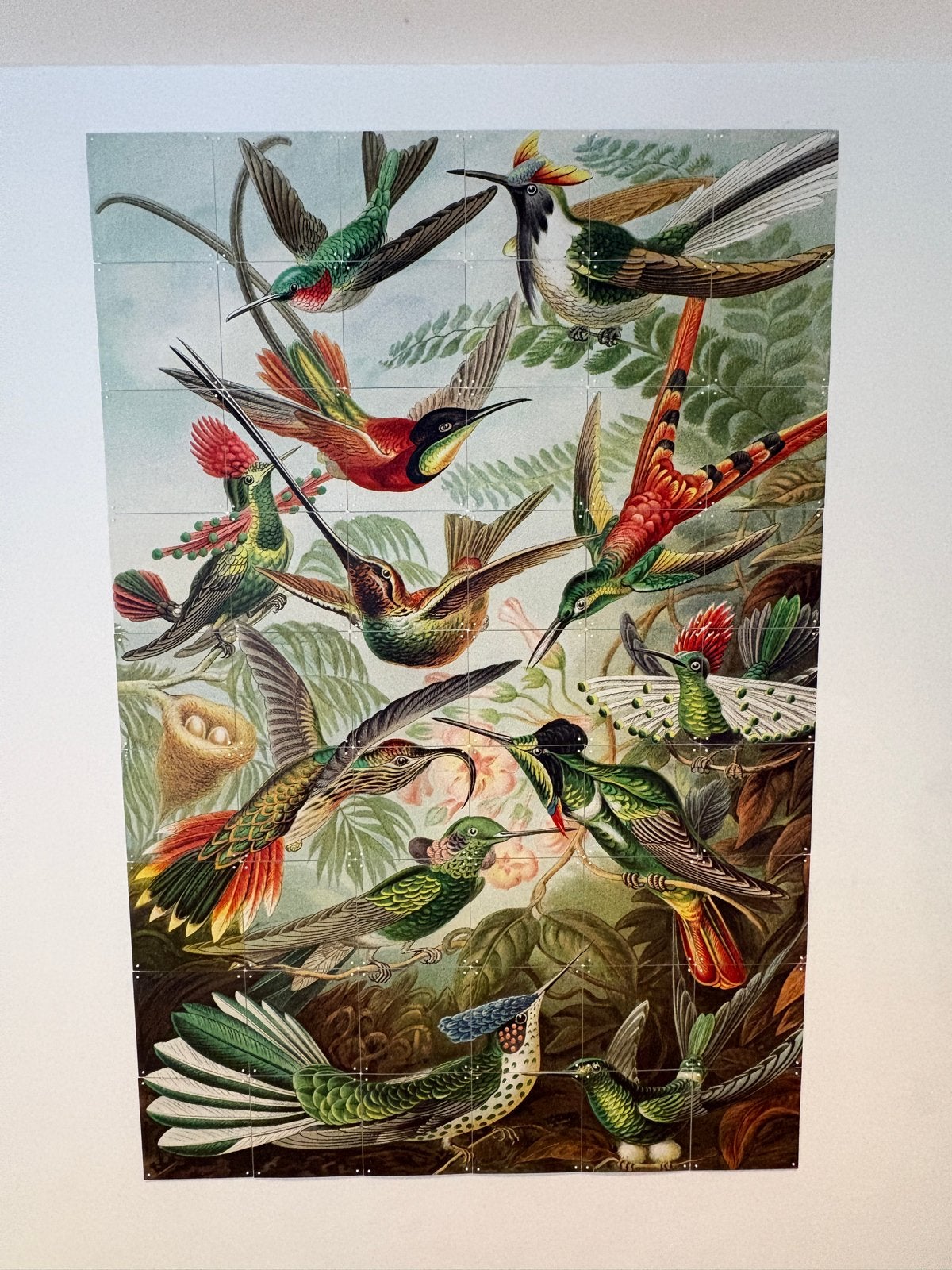 Ixxi Hummingbirds Ernst Haeckel | 120x180 cm, 54 kaarten, 180 cm, Meerkleurig, Ophalen of Verzenden, Zo goed als nieuw