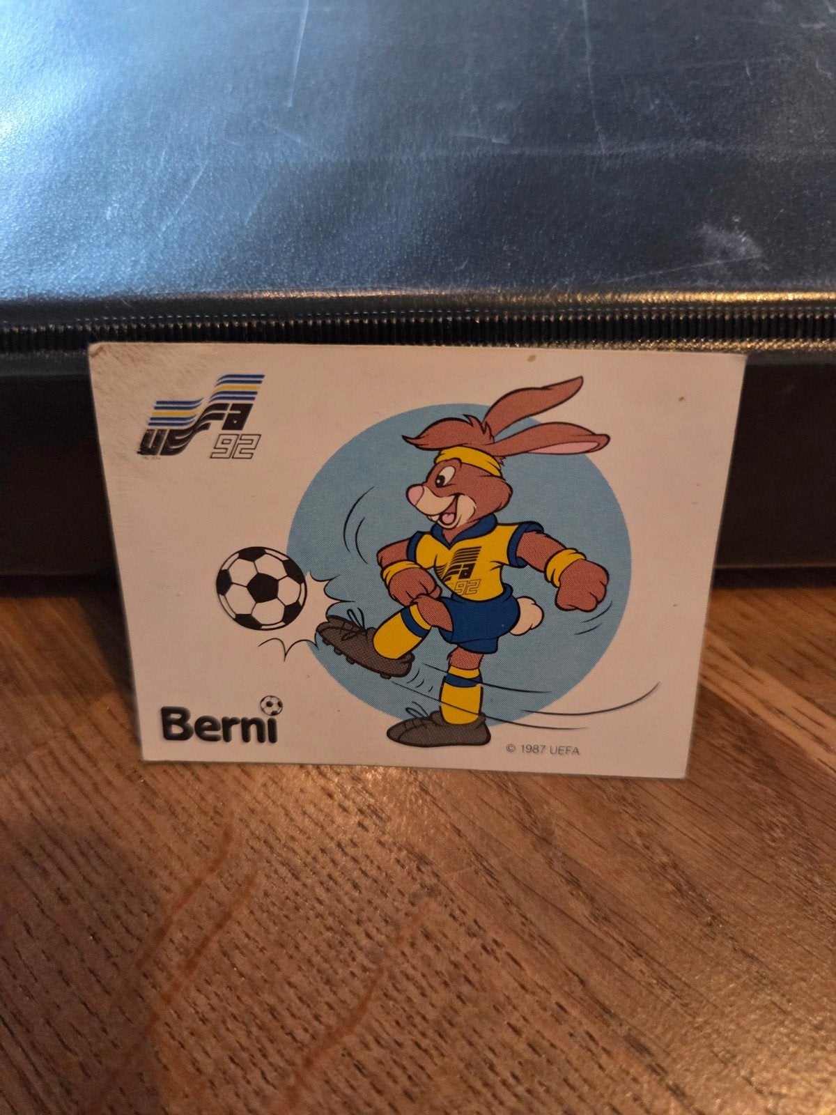 Panini EK 92, Ophalen of Verzenden, Zo goed als nieuw, Sticker