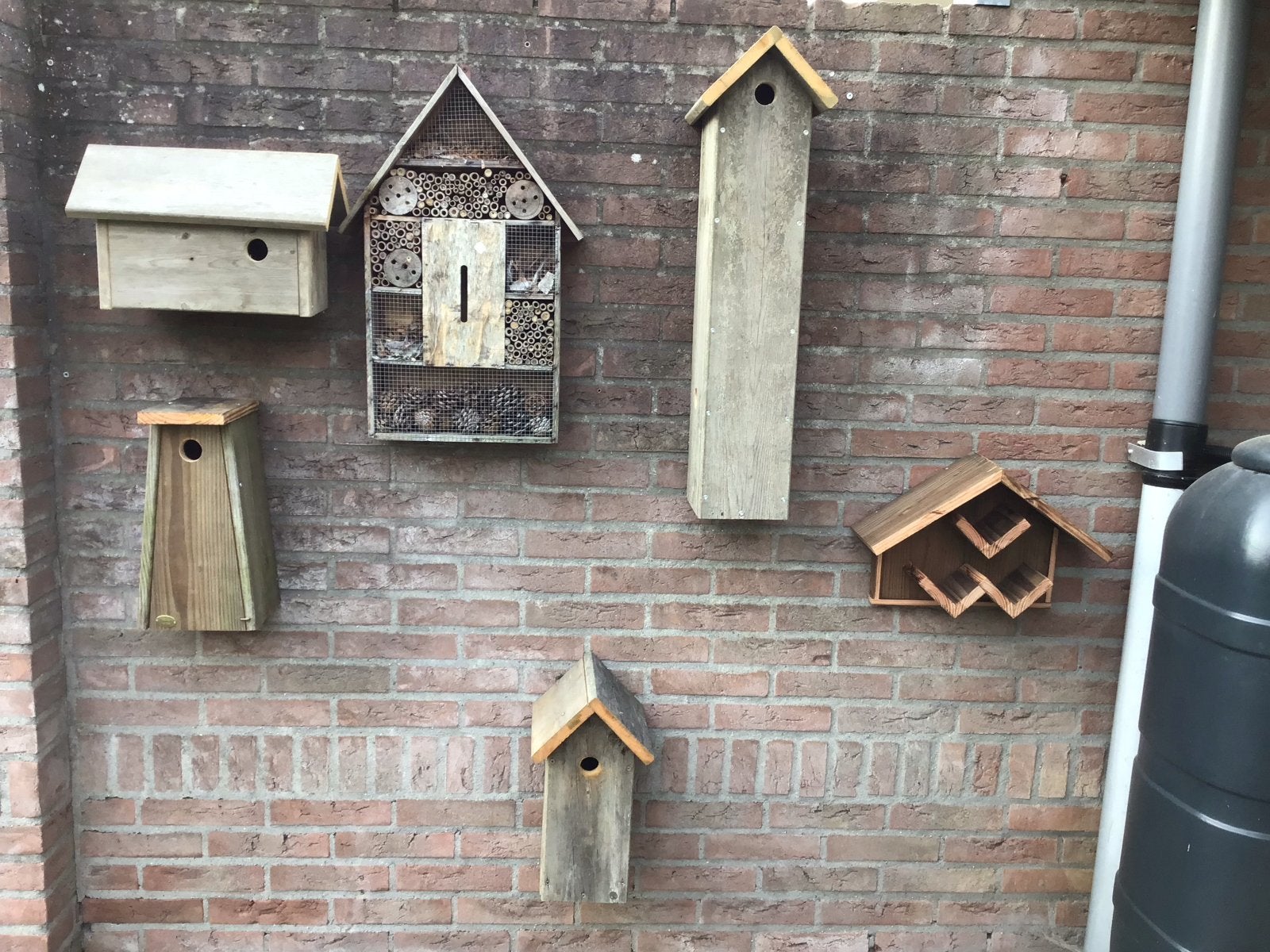 Vogelhuisjes, Ophalen, Nieuw, Hout, Vogelkooi
