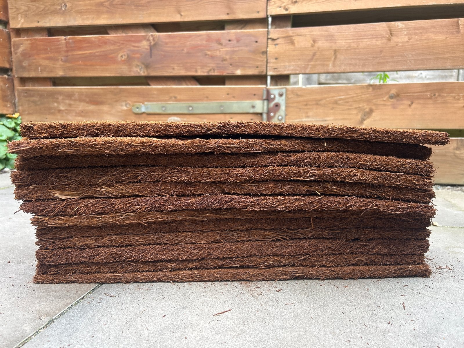 Varenwortel platen voor terrarium  (12 stuks), Ophalen of Verzenden, Nieuw, Overige typen