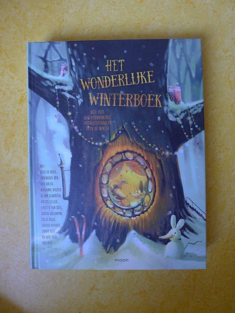 Het wonderlijke winterboek - Marianne Busser, Fictie algemeen, Diverse auteurs, Ophalen of Verzenden, Zo goed als nieuw