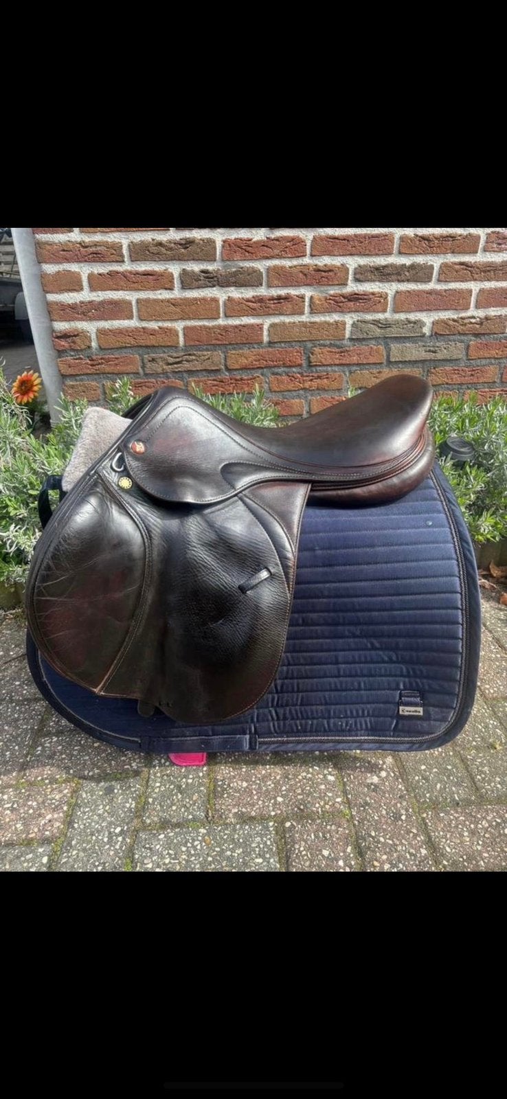 Prestige springzadel 17,5, Gebruikt, Ophalen of Verzenden, Springen, Bruin