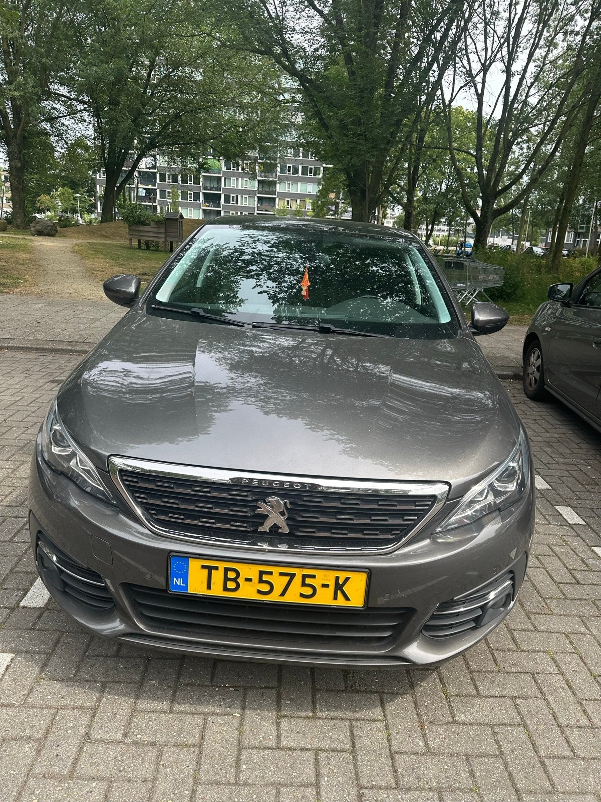 Peugeot 308 1.2E-THP 96/130 5-D 2018 Grijs, Voorwielaandrijving, 49 €/maand, Origineel Nederlands, Handgeschakeld