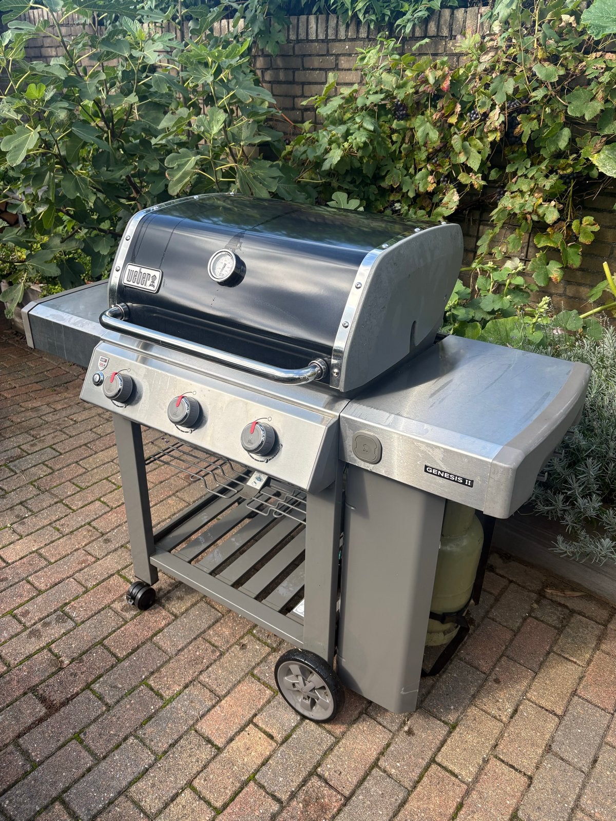 Weber Genesis II E-310 GBS Gasbarbecue, Ophalen, Gebruikt